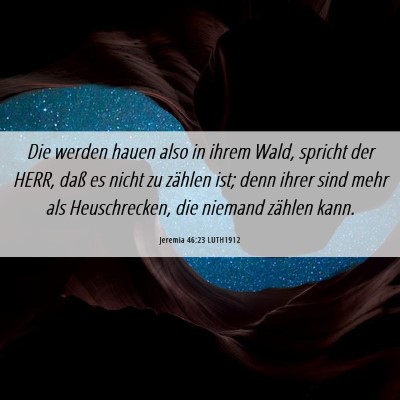 Picture 06 - Jeremia 46:23 LUTH1912 - Die werden hauen also in ihrem Wald, spricht der - Bible Verse Picture