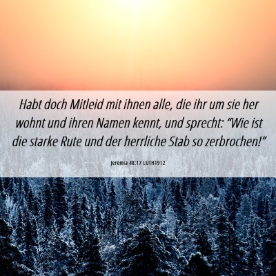 Picture 06 - Jeremia 48:17 LUTH1912 - Habt doch Mitleid mit ihnen alle, die ihr um sie - Bible Verse Picture