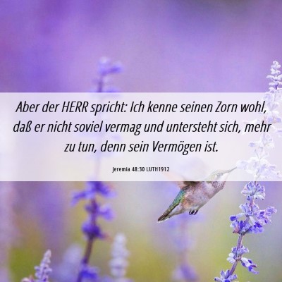 Picture 06 - Jeremia 48:30 LUTH1912 - Aber der HERR spricht: Ich kenne seinen Zorn - Bible Verse Picture