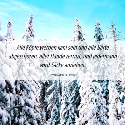 Picture 06 - Jeremia 48:37 LUTH1912 - Alle Köpfe werden kahl sein und alle Bärte - Bible Verse Picture