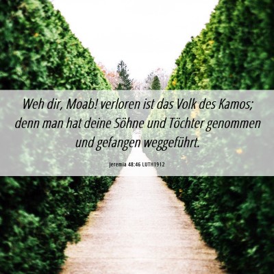 Picture 06 - Jeremia 48:46 LUTH1912 - Weh dir, Moab! verloren ist das Volk des Kamos; - Bible Verse Picture