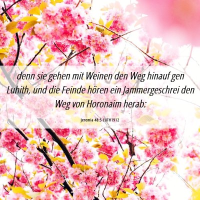 Picture 06 - Jeremia 48:5 LUTH1912 - denn sie gehen mit Weinen den Weg hinauf gen - Bible Verse Picture