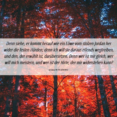 Picture 06 - Jeremia 49:19 LUTH1912 - Denn siehe, er kommt herauf wie ein Löwe vom - Bible Verse Picture