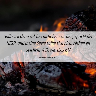 Picture 06 - Jeremia 5:29 LUTH1912 - Sollte ich denn solches nicht heimsuchen, spricht - Bible Verse Picture
