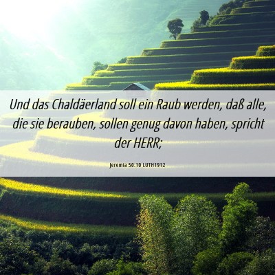 Picture 06 - Jeremia 50:10 LUTH1912 - Und das Chaldäerland soll ein Raub werden, daß - Bible Verse Picture