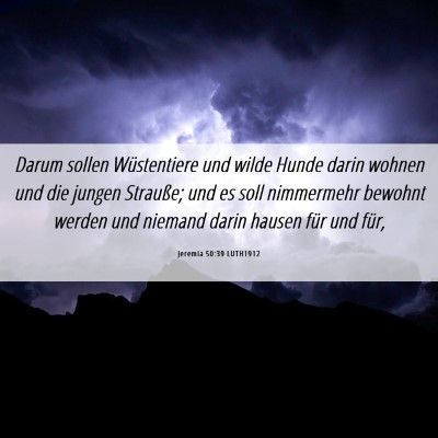 Picture 06 - Jeremia 50:39 LUTH1912 - Darum sollen Wüstentiere und wilde Hunde darin - Bible Verse Picture