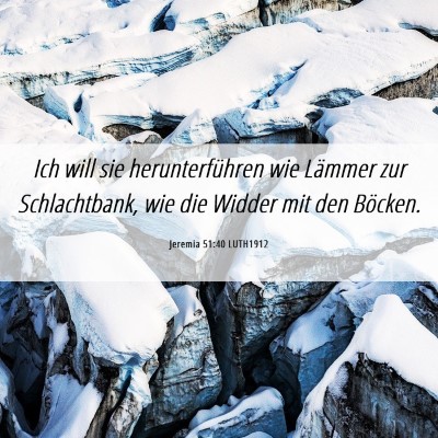 Picture 06 - Jeremia 51:40 LUTH1912 - Ich will sie herunterführen wie Lämmer zur - Bible Verse Picture