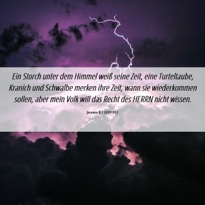 Picture 06 - Jeremia 8:7 LUTH1912 - Ein Storch unter dem Himmel weiß seine Zeit, - Bible Verse Picture