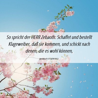 Picture 06 - Jeremia 9:17 LUTH1912 - So spricht der HERR Zebaoth: Schaffet und - Bible Verse Picture