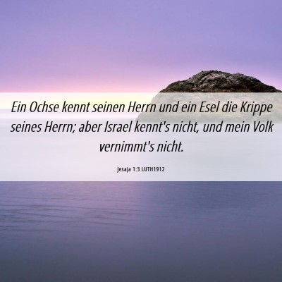 Picture 06 - Jesaja 1:3 LUTH1912 - Ein Ochse kennt seinen Herrn und ein Esel die - Bible Verse Picture