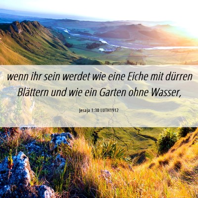 Picture 06 - Jesaja 1:30 LUTH1912 - wenn ihr sein werdet wie eine Eiche mit dürren - Bible Verse Picture