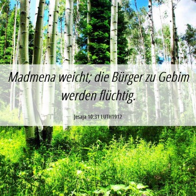 Picture 06 - Jesaja 10:31 LUTH1912 - Madmena weicht; die Bürger zu Gebim werden - Bible Verse Picture