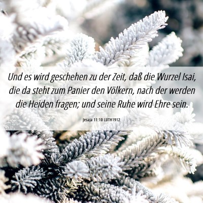 Picture 06 - Jesaja 11:10 LUTH1912 - Und es wird geschehen zu der Zeit, daß die - Bible Verse Picture