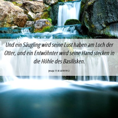 Picture 06 - Jesaja 11:8 LUTH1912 - Und ein Säugling wird seine Lust haben am Loch - Bible Verse Picture