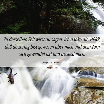 Picture 06 - Jesaja 12:1 LUTH1912 - Zu derselben Zeit wirst du sagen: Ich danke dir, - Bible Verse Picture