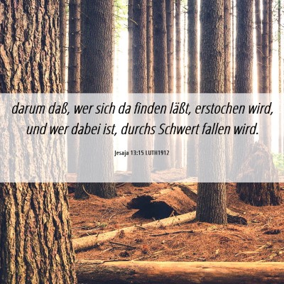 Picture 06 - Jesaja 13:15 LUTH1912 - darum daß, wer sich da finden läßt, erstochen - Bible Verse Picture
