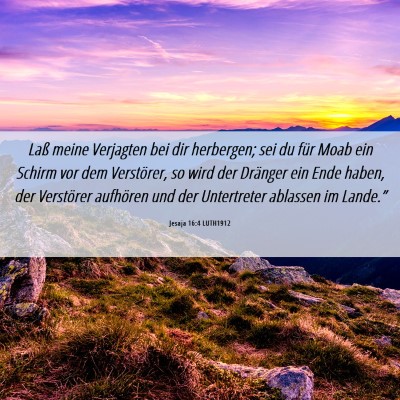 Picture 06 - Jesaja 16:4 LUTH1912 - Laß meine Verjagten bei dir herbergen; sei du - Bible Verse Picture