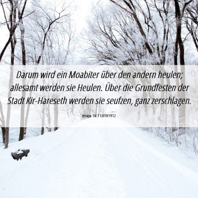 Picture 06 - Jesaja 16:7 LUTH1912 - Darum wird ein Moabiter über den andern heulen; - Bible Verse Picture