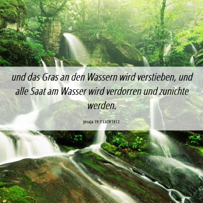 Picture 06 - Jesaja 19:7 LUTH1912 - und das Gras an den Wassern wird verstieben, und - Bible Verse Picture
