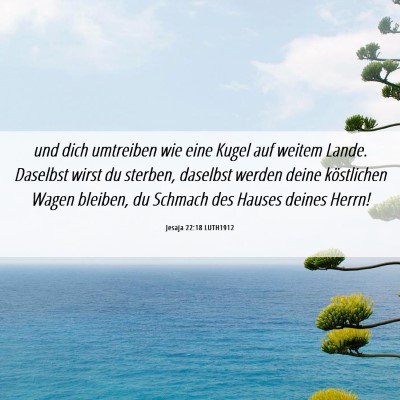 Picture 06 - Jesaja 22:18 LUTH1912 - und dich umtreiben wie eine Kugel auf weitem - Bible Verse Picture