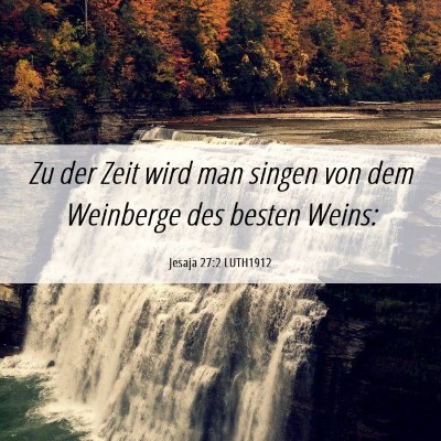 Picture 06 - Jesaja 27:2 LUTH1912 - Zu der Zeit wird man singen von dem Weinberge des - Bible Verse Picture