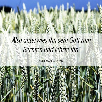 Picture 06 - Jesaja 28:26 LUTH1912 - Also unterwies ihn sein Gott zum Rechten und - Bible Verse Picture