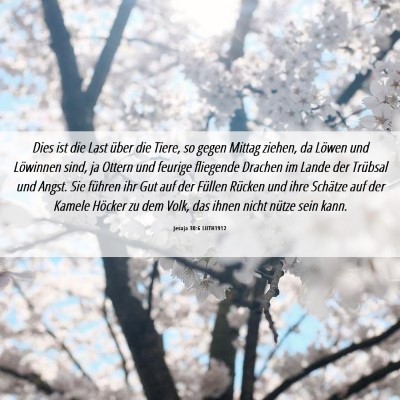 Picture 06 - Jesaja 30:6 LUTH1912 - Dies ist die Last über die Tiere, so gegen - Bible Verse Picture