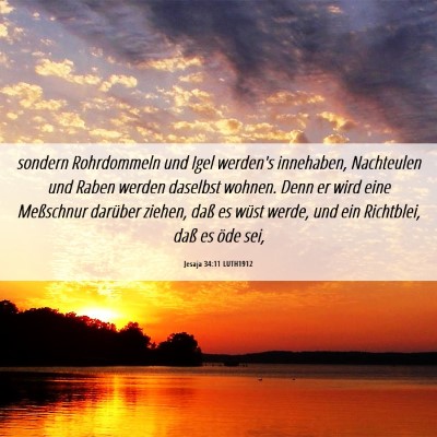 Picture 06 - Jesaja 34:11 LUTH1912 - sondern Rohrdommeln und Igel werden's innehaben, - Bible Verse Picture