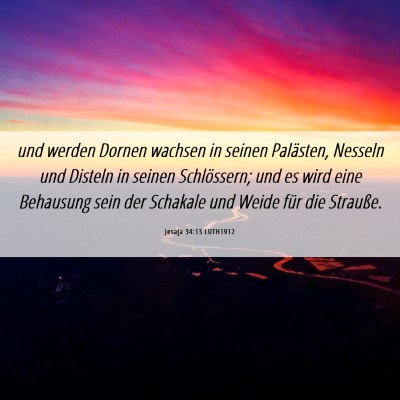Picture 06 - Jesaja 34:13 LUTH1912 - und werden Dornen wachsen in seinen Palästen, - Bible Verse Picture