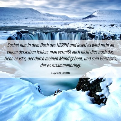 Picture 06 - Jesaja 34:16 LUTH1912 - Suchet nun in dem Buch des HERRN und leset! es - Bible Verse Picture