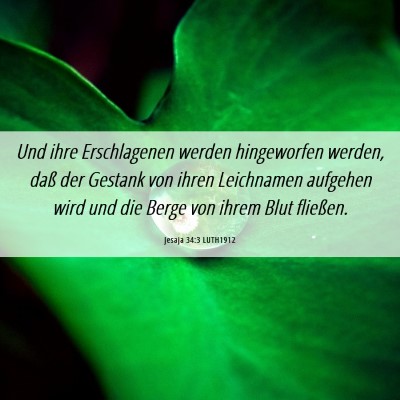 Picture 06 - Jesaja 34:3 LUTH1912 - Und ihre Erschlagenen werden hingeworfen werden, - Bible Verse Picture