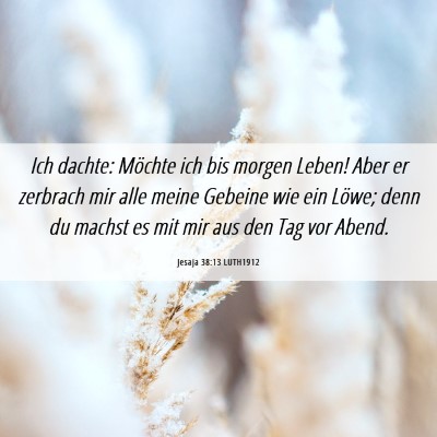 Picture 06 - Jesaja 38:13 LUTH1912 - Ich dachte: Möchte ich bis morgen Leben! Aber er - Bible Verse Picture