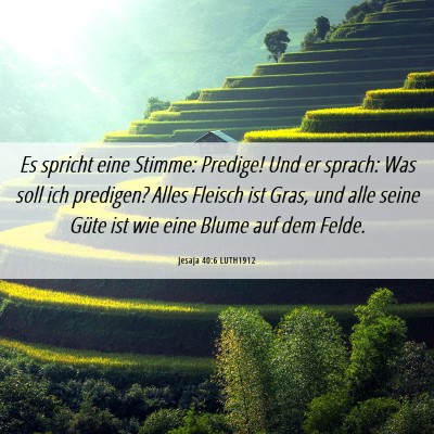 Picture 06 - Jesaja 40:6 LUTH1912 - Es spricht eine Stimme: Predige! Und er sprach: - Bible Verse Picture