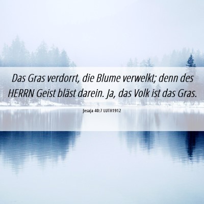 Picture 06 - Jesaja 40:7 LUTH1912 - Das Gras verdorrt, die Blume verwelkt; denn des - Bible Verse Picture