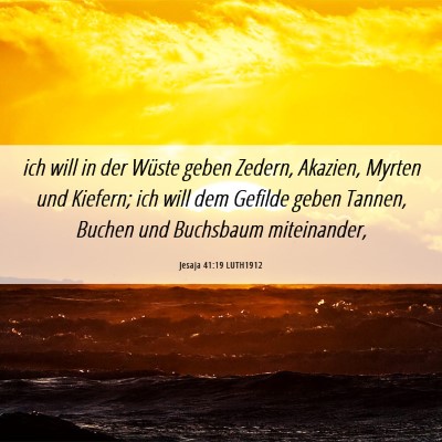 Picture 06 - Jesaja 41:19 LUTH1912 - ich will in der Wüste geben Zedern, Akazien, - Bible Verse Picture