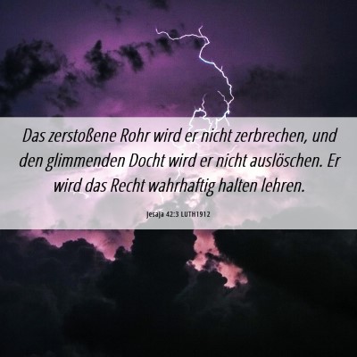 Picture 06 - Jesaja 42:3 LUTH1912 - Das zerstoßene Rohr wird er nicht zerbrechen, - Bible Verse Picture
