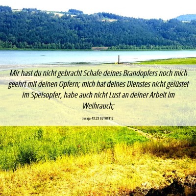 Picture 06 - Jesaja 43:23 LUTH1912 - Mir hast du nicht gebracht Schafe deines - Bible Verse Picture