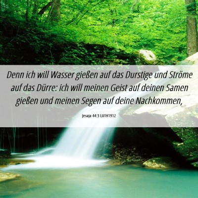 Picture 06 - Jesaja 44:3 LUTH1912 - Denn ich will Wasser gießen auf das Durstige und - Bible Verse Picture