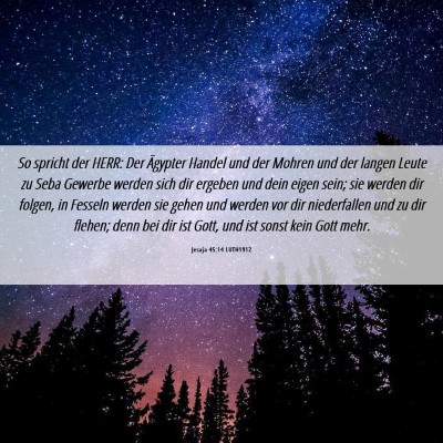Picture 06 - Jesaja 45:14 LUTH1912 - So spricht der HERR: Der Ägypter Handel und der - Bible Verse Picture