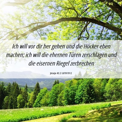 Picture 06 - Jesaja 45:2 LUTH1912 - Ich will vor dir her gehen und die Höcker eben - Bible Verse Picture