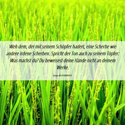 Picture 06 - Jesaja 45:9 LUTH1912 - Weh dem, der mit seinem Schöpfer hadert, eine - Bible Verse Picture