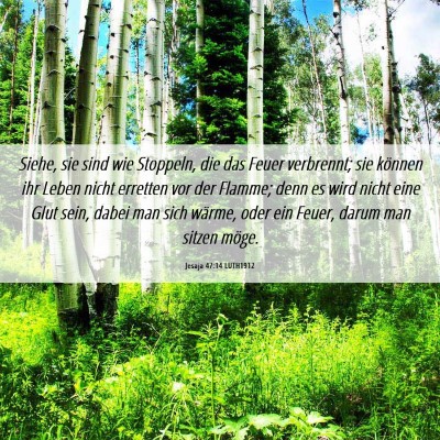 Picture 06 - Jesaja 47:14 LUTH1912 - Siehe, sie sind wie Stoppeln, die das Feuer - Bible Verse Picture