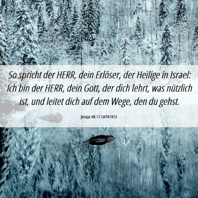 Picture 06 - Jesaja 48:17 LUTH1912 - So spricht der HERR, dein Erlöser, der Heilige - Bible Verse Picture