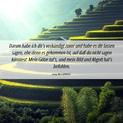 Picture 06 - Jesaja 48:5 LUTH1912 - Darum habe ich dir's verkündigt zuvor und habe - Bible Verse Picture