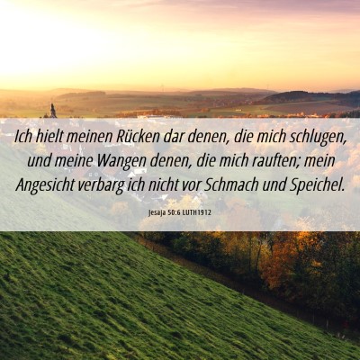 Picture 06 - Jesaja 50:6 LUTH1912 - Ich hielt meinen Rücken dar denen, die mich - Bible Verse Picture