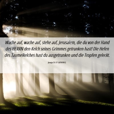 Picture 06 - Jesaja 51:17 LUTH1912 - Wache auf, wache auf, stehe auf, Jerusalem, die - Bible Verse Picture