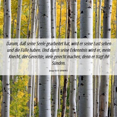 Picture 06 - Jesaja 53:11 LUTH1912 - Darum, daß seine Seele gearbeitet hat, wird er - Bible Verse Picture