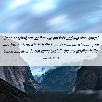 Picture 06 - Jesaja 53:2 LUTH1912 - Denn er schoß auf vor ihm wie ein Reis und wie - Bible Verse Picture