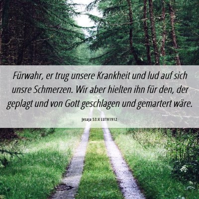 Picture 06 - Jesaja 53:4 LUTH1912 - Fürwahr, er trug unsere Krankheit und lud auf - Bible Verse Picture