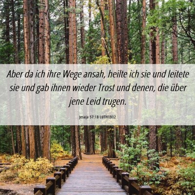 Picture 06 - Jesaja 57:18 LUTH1912 - Aber da ich ihre Wege ansah, heilte ich sie und - Bible Verse Picture